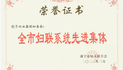 喜報(bào)！興業(yè)集團(tuán)婦委會榮獲“全市婦聯(lián)系統(tǒng)先進(jìn)集體”榮譽(yù)稱號