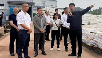 興業(yè)集團(tuán)黨委開展“黨建引領(lǐng)聚合力 攻堅(jiān)克難顯擔(dān)當(dāng)”主題黨日暨現(xiàn)場教學(xué)活動