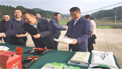 市委常委、政法委書記劉波濤帶隊(duì)調(diào)研指導(dǎo)定點(diǎn)幫扶村鄉(xiāng)村振興工作